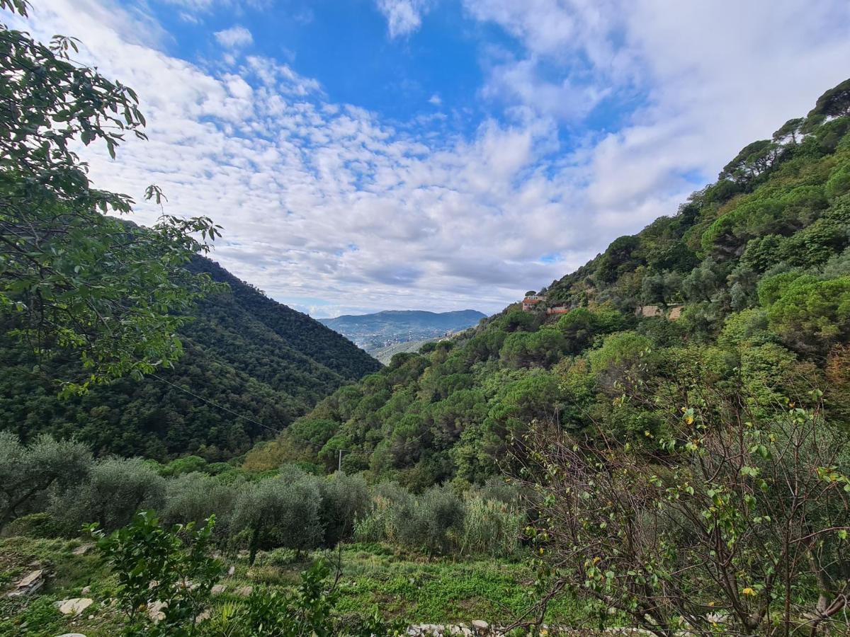 Castrusso Il Frantoio Di Rapallo By Portofinovacanze Esterno foto