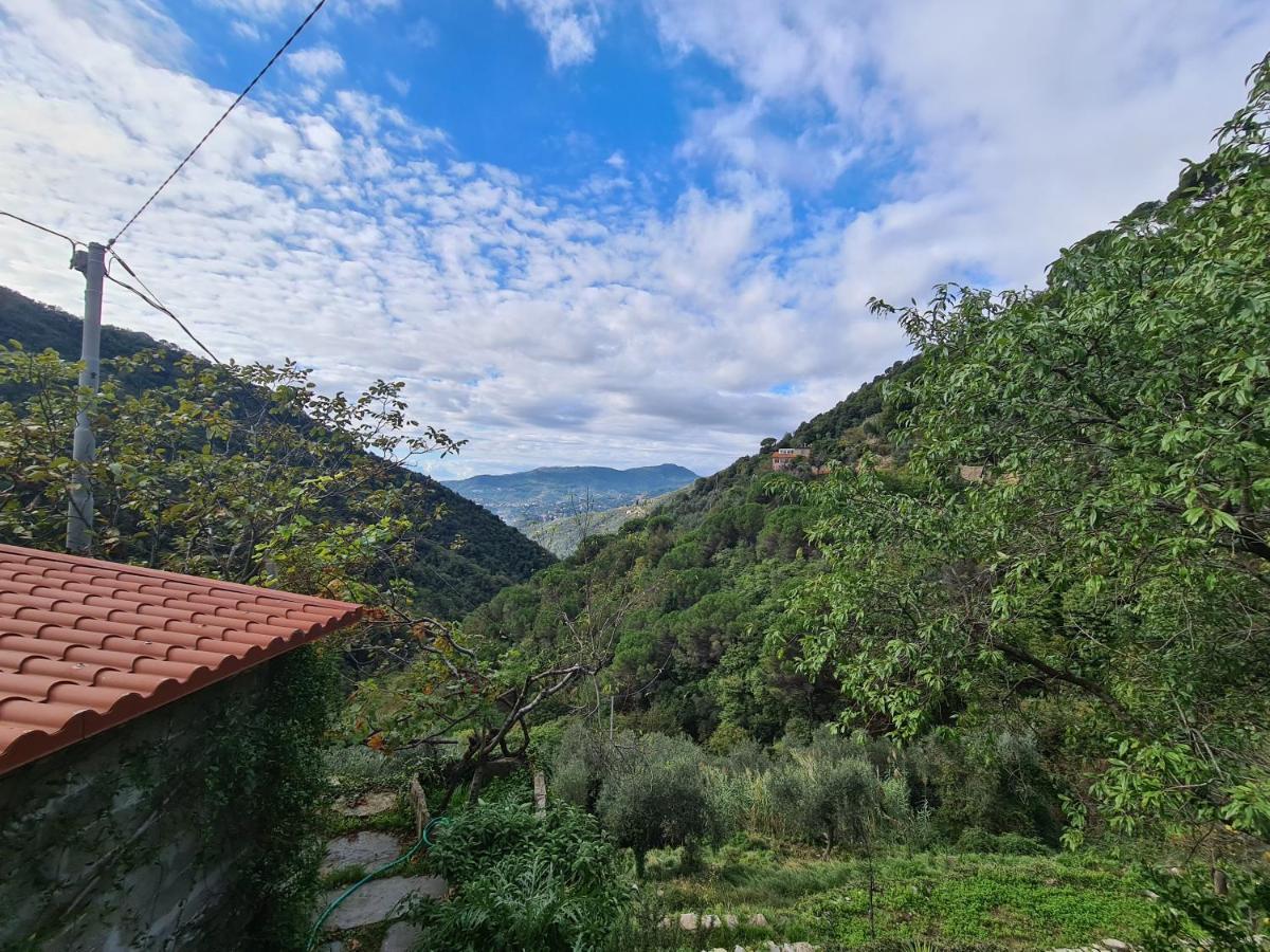 Castrusso Il Frantoio Di Rapallo By Portofinovacanze Esterno foto