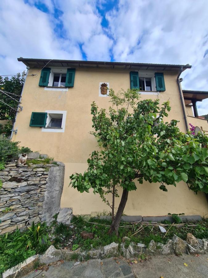 Castrusso Il Frantoio Di Rapallo By Portofinovacanze Esterno foto