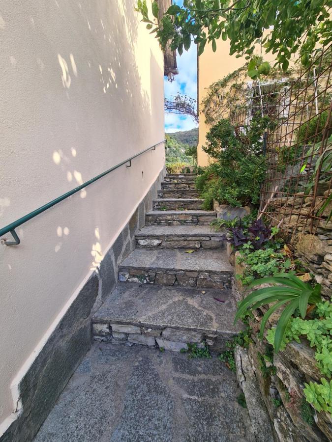 Castrusso Il Frantoio Di Rapallo By Portofinovacanze Esterno foto